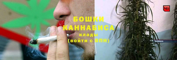 Альфа ПВП Аркадак