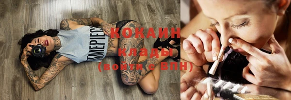 Альфа ПВП Аркадак