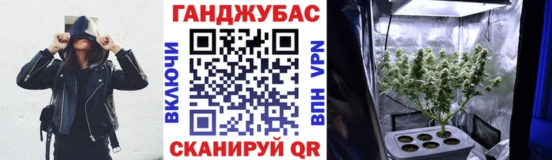 продажа наркотиков  мега ONION  Бошки Шишки THC 21%  Сольвычегодск 